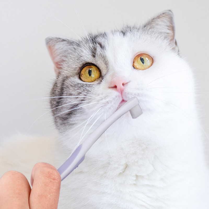 犬用歯ブラシ 犬の歯のクリーニング ソフトヘア歯ブラシ 犬用 - Teeth Whitening Brush のレビューと価格