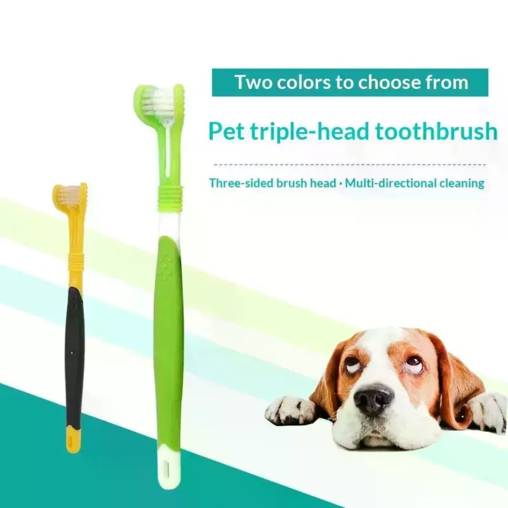 3面ペット歯ブラシ犬猫歯科口腔ケアブラシ口臭歯石除去プラスチ - Teeth Whitening Brush のレビューと価格